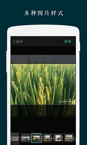 Zine长微博工具截图2