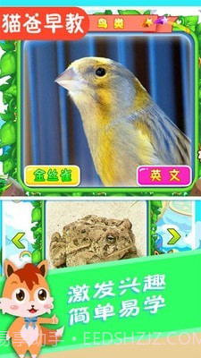 宝宝儿童动物世界截图3