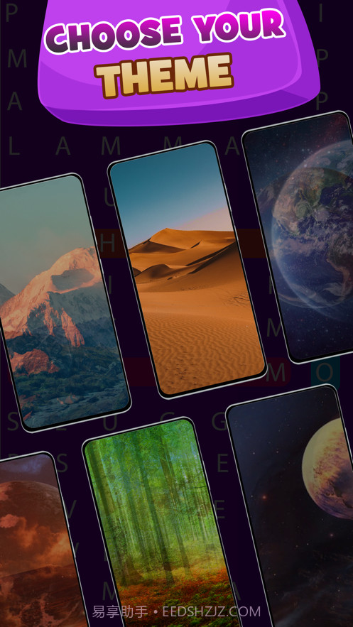 每日词搜索填字截图3