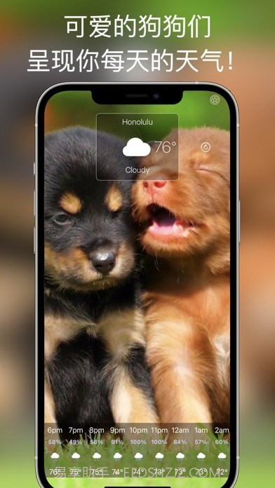 狗天气直播截图2