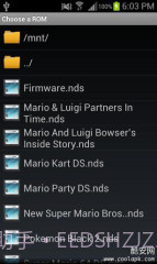NDS模拟器:DSdroid截图1 NDS模拟器:DSdroid截图1