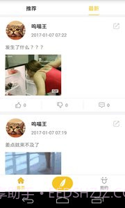 猫咪内涵段子截图2