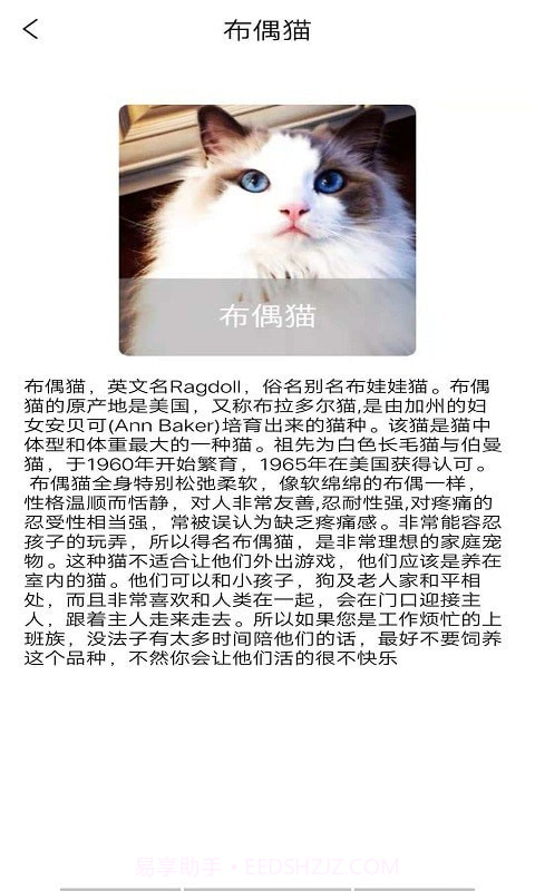 宠物知识全书截图4 宠物知识全书截图4