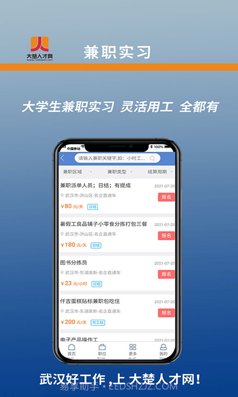 大楚人才网截图3