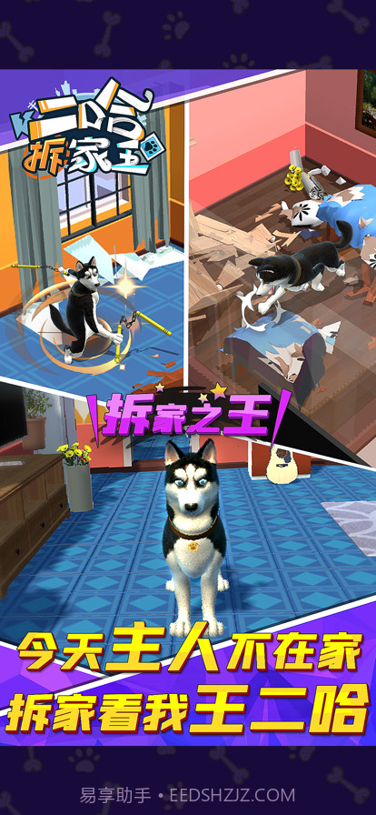 二哈拆家王截图4 二哈拆家王截图4