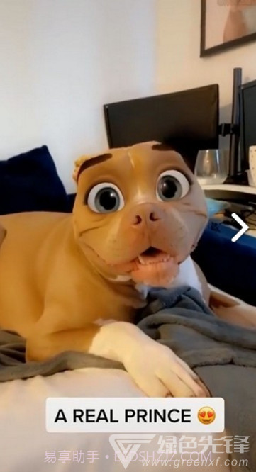 迪士尼滤镜(snapchat迪士尼滤镜)V1.1 安卓免费版截图4