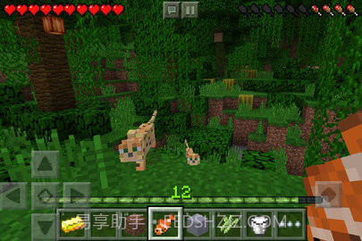 我的世界java版(Minecraft)截图2 我的世界java版(Minecraft)截图2