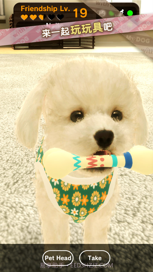 我的梦中情狗截图6