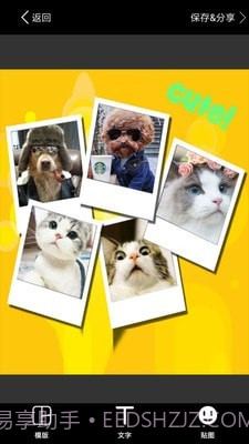 照片拼图截图4