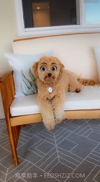 迪士尼滤镜截图2