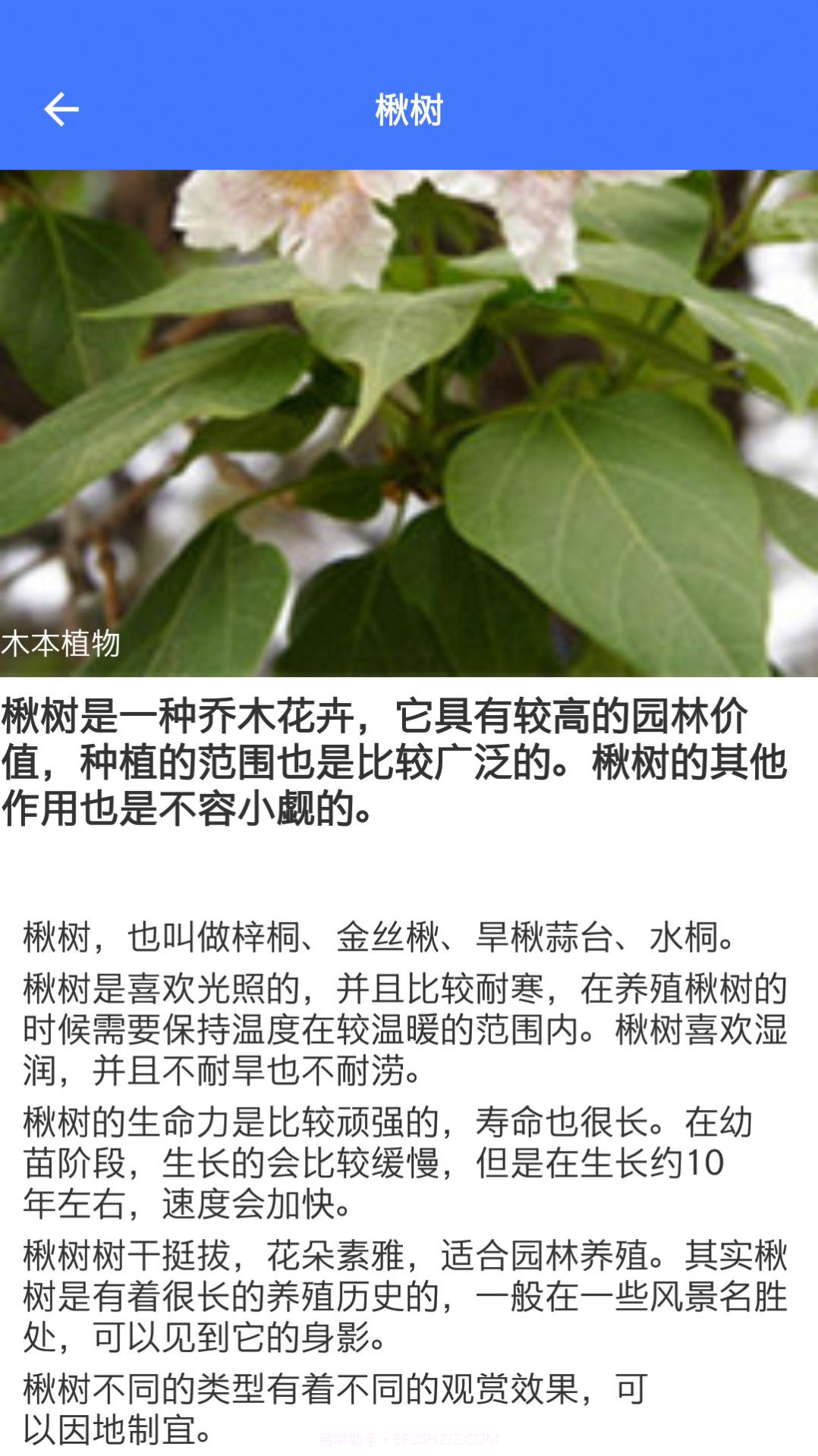 好用拍照识别截图2 好用拍照识别截图2