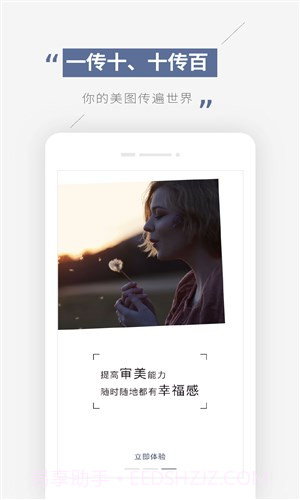 蒲公英截图3 蒲公英截图3