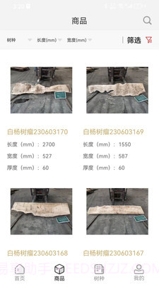 木头猎人截图2 木头猎人截图2