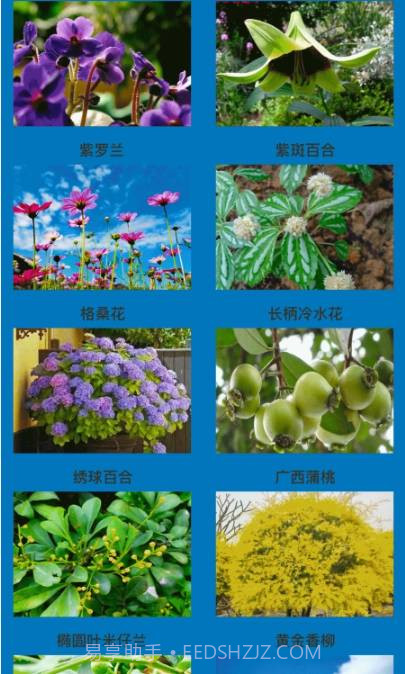 神农花草园艺截图3 神农花草园艺截图3