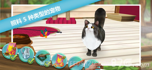 猫舍截图1 猫舍截图1