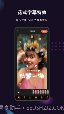 爱字幕2021截图2