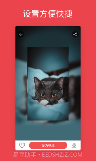 安卓动态壁纸截图1