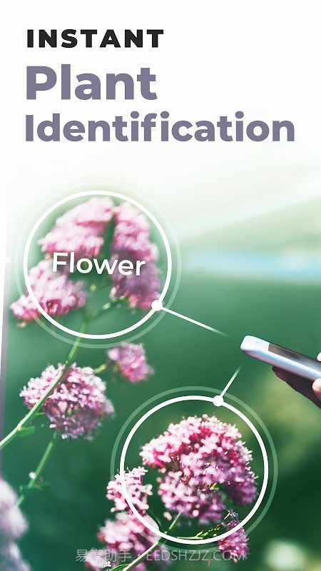 PlantSnap截图1 PlantSnap截图1