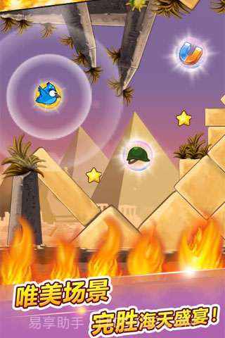 呆鸟也疯狂截图3