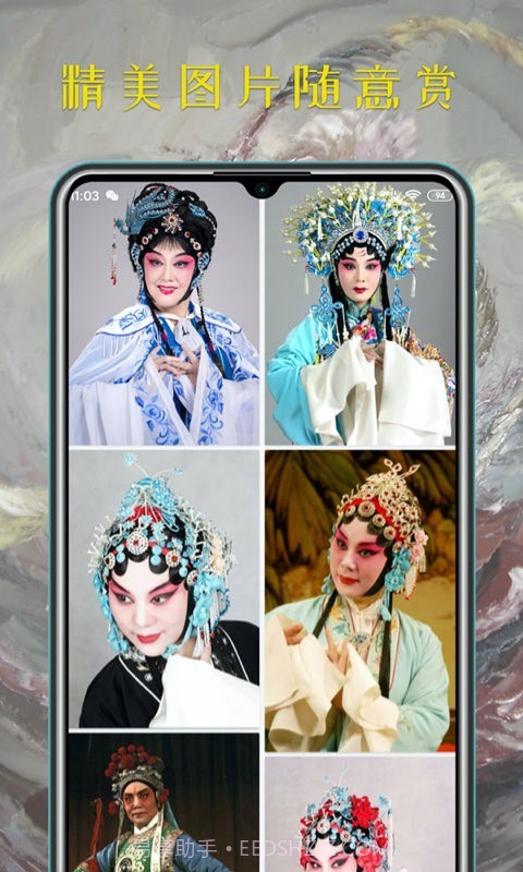 豫剧迷截图4 豫剧迷截图4