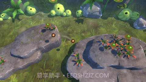 球形精灵：虫群之路截图2