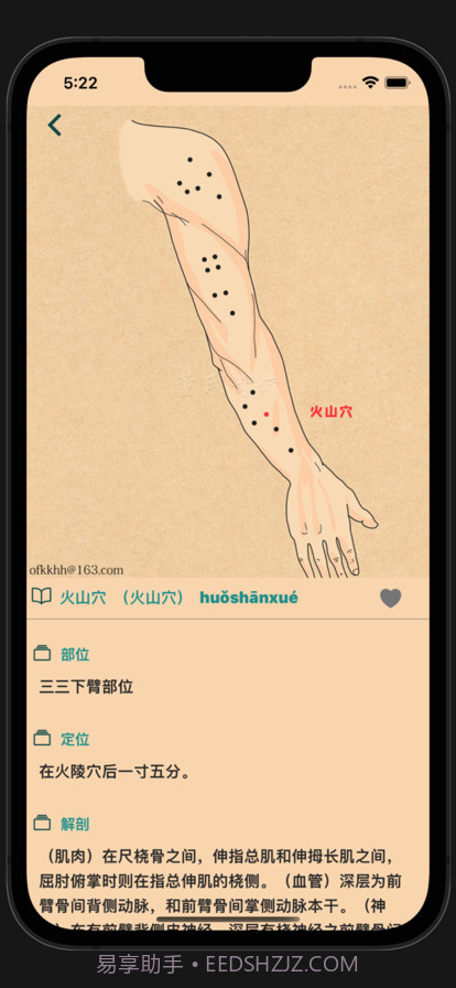 董氏奇穴截图6 董氏奇穴截图6