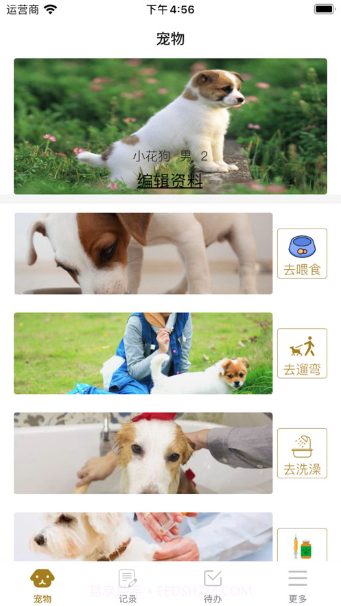 养狗小帮手截图2