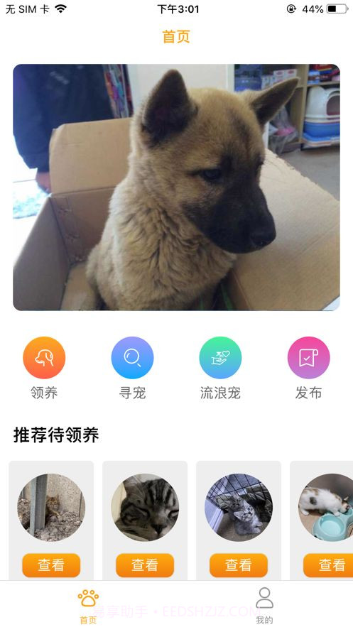 宠爱社ios截图2 宠爱社ios截图2