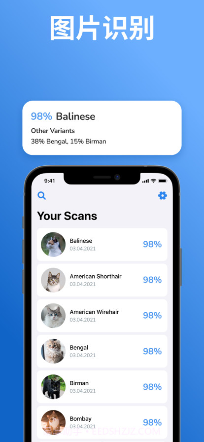 猫品种标识符:猫扫描仪截图2 猫品种标识符:猫扫描仪截图2