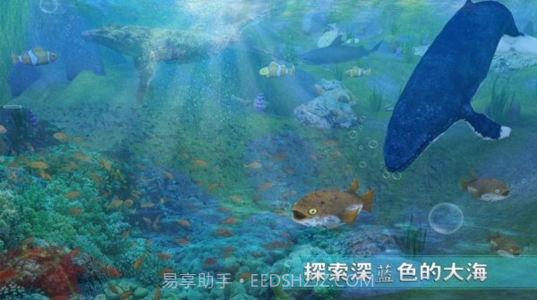 全民养鲨鱼截图1