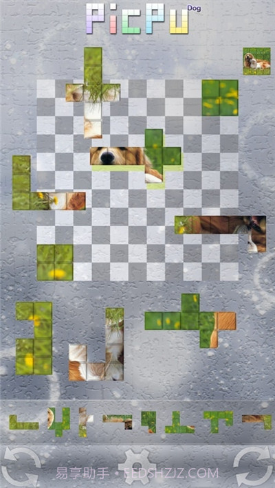 汪星人拼图截图3
