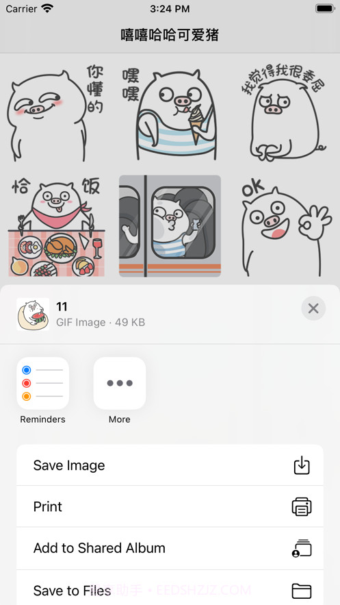 嘻嘻哈哈可爱猪截图2