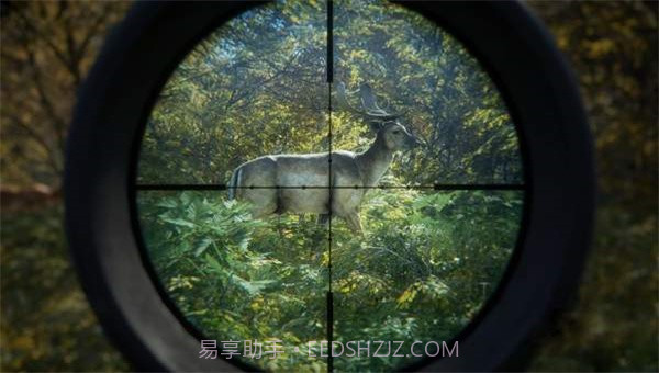 猎人荒野的召唤截图1