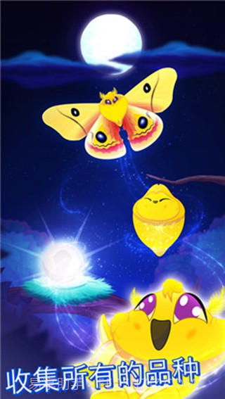 彩翼之星夜截图2