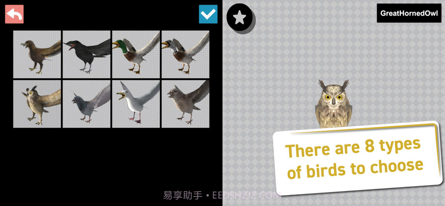 鸟类3D参考截图2