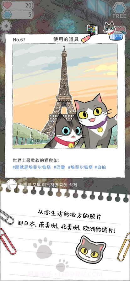 猫友圈猫咪的旅行截图3