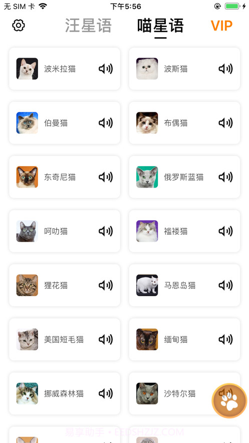 汪星人喵星人交流截图2 汪星人喵星人交流截图2