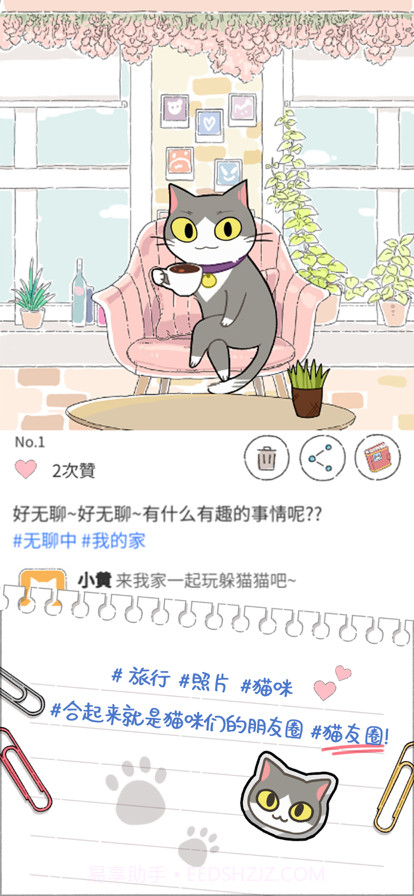 猫友圈猫咪的旅行截图2