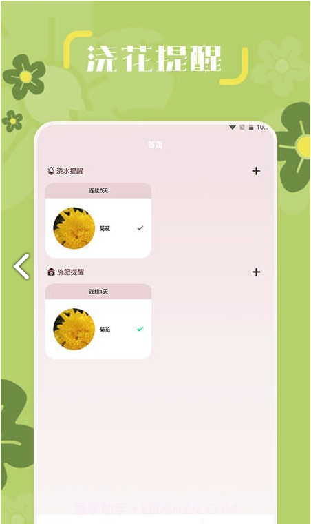 小兰君养花大师截图3 小兰君养花大师截图3