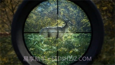 猎人：荒野的召唤正版截图2