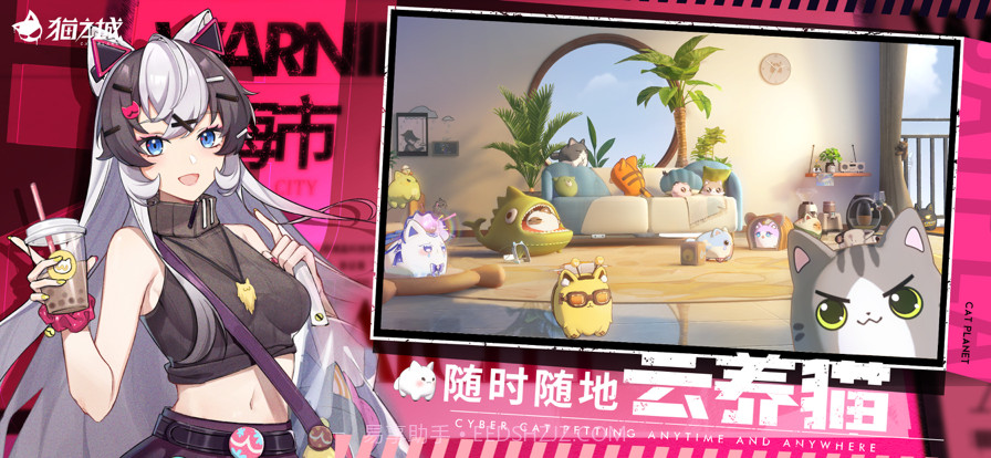 猫之城2截图5