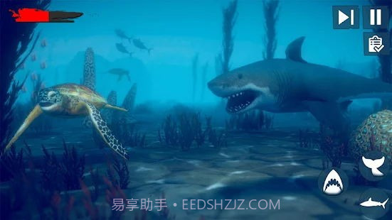 愤怒鲨鱼木筏生存截图1