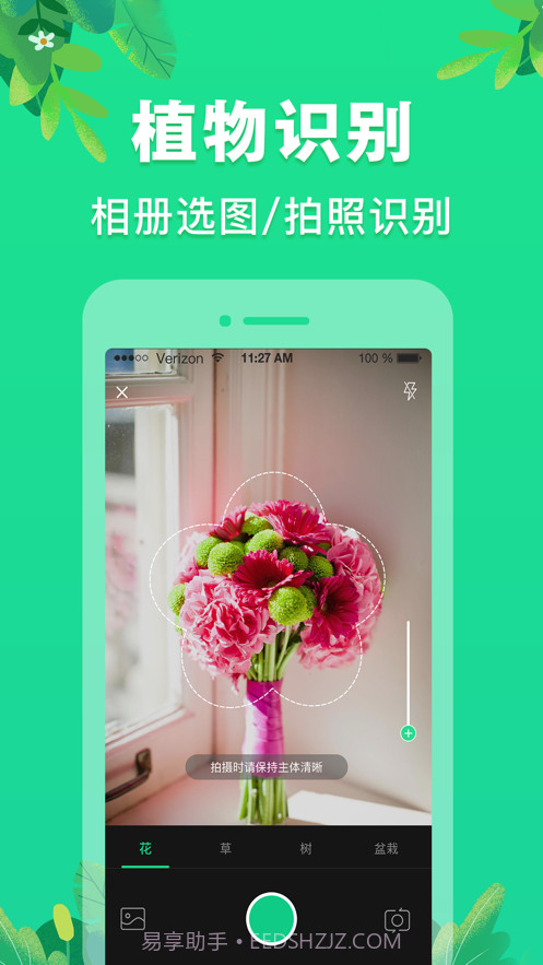 植物识别截图2
