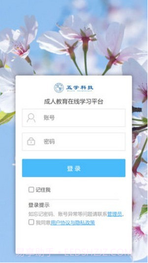 五学课堂截图1