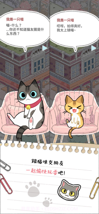 猫友圈猫咪的旅行截图4