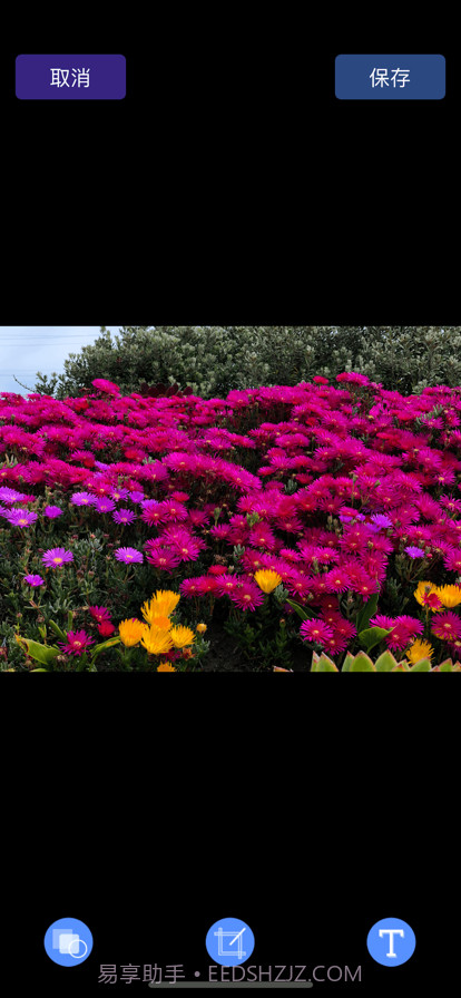 捷径画图截图3 捷径画图截图3