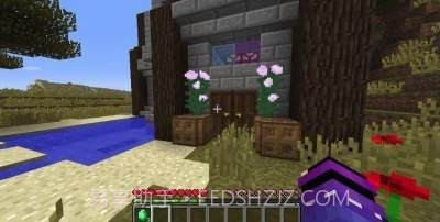 我的世界珍妮模组完整版截图3