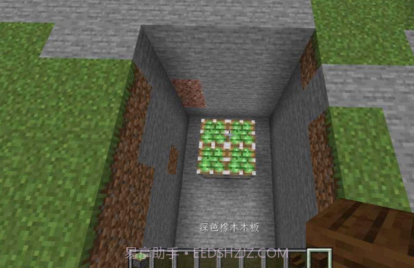 我的世界基岩XBOX版截图2