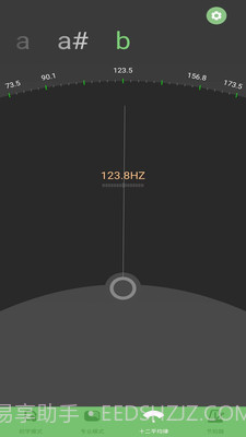 智能二胡调音器截图4