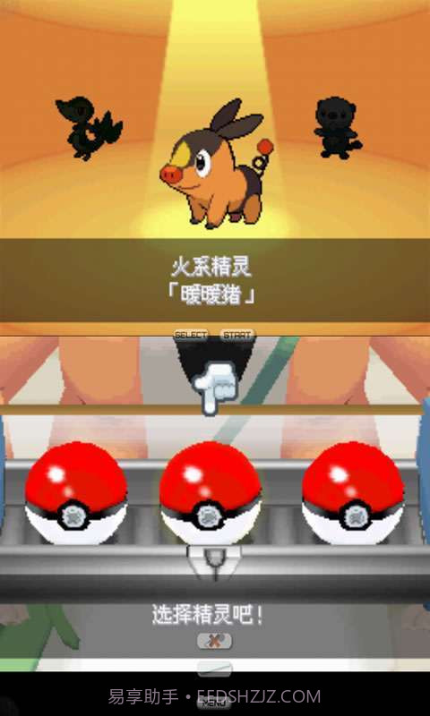 口袋妖怪-白2截图2 口袋妖怪-白2截图2